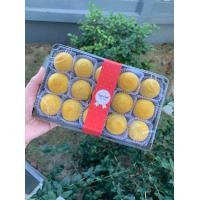 ราคา รวมความอร่อย กดตรงนี้ ขนมเปี๊ยะไส้ถั่วไข่เค็ม ไส้เผือกไข่เค็ม ไส้ชาเขียวไข่เค็ม อบควันเทียน ขนมเปี๊ยะโบราณ ขนมเปี๊ยะอบควันเทียน กล่องละ 15 ลูก ขนมอร่อยบ้านตัวป่วน (17452704696)