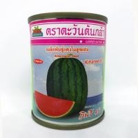 ราคา กินรี 457 เมล็ดพันธุ์แตงโม แตงโมกินรี ตะวันต้นกล้า 40กรัม (6065640026)
