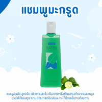 ราคา แชมพู แชมพูขจัดรังแคสระผม สูตรเย็น คาฟิร่า กลิ่นมะกรูด Kaffira Shampoo (24595740579)