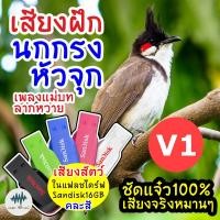 ราคา เสียงนกกรงหัวจุก V1 ฝึกลูกนก เมม แฟลชไดร์ฟเสียงฝึกนกกรงหัวจุก มีเก็บเงินปลายทาง เสียงจริง ชัดแจ๋ว 100 ไม่มีโฆษณาแทรก MP3 เสียงต่อสัตว์ (8855380876)