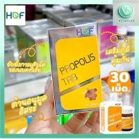 ราคา HOF PROPOLIS TAB 25MG ผลิตภัณฑ์เสริมอาหารโพรโพลิส 30 เม็ด PHARMAHOF (24107839909)