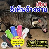 ราคา เสียงต่ออีเห็นข้างลาย เสียงต่อเมมเสียง แฟลชไดร์ฟเสียงต่ออีเห็นข้างลาย มีเก็บเงินปลายทาง ชัดแจ๋ว100 ไม่มีโฆษณาแทรก MP3 เสียงต่อสัตว์ (9011651669)