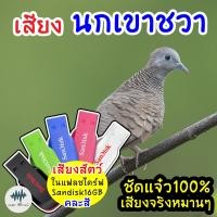 ราคา เสียงนกเขาชวา เสียงต่อนกเขาชวา เมม แฟลชไดร์ฟเสียงต่อนกเขาชวา มีเก็บเงินปลายทาง เสียงดี ชัด100 ไม่มีโฆษณาแทรก MP3 เสียงต่อสัตว์ (10586359621)