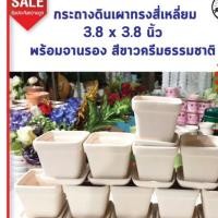 ราคา กระถางดินเผาสี่เหลี่ยม 3 8x3 8 นิ้ว พร้อมจานรอง สีขาวครีม 12 ชุด 219ช (20395692903)