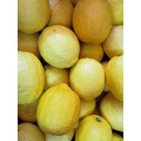 ราคา สด ใหม่ มะนาวเลมอนสด ผลมะนาวเลมอน 1 kg (24259677458)