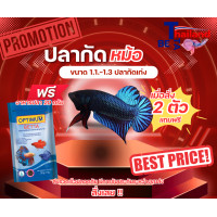 ราคา ปลากัดหม้อ แถมฟรีอาหารปลากัด ขนาด 20 กรัม ได้รับปลากัดหม้อ 2 ตัว อาหารปลากัด 1 ซอง รับประกันการเดินทาง (24752910760)