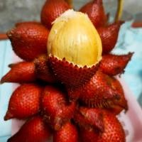 ราคา สละสุมาลี สละพันธุ์สุมาลี สดๆจากสวน หวานหอม 2กิโล (16666418387)