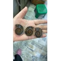 ราคา ฟอสซิวหอย 1ชิ้น อายุ 65 ล้านปี ฟอสซิล หอย แอมโมไนต์ พร็อพถ่ายรูป ทำเครื่องประดับ ลูกปัด DIY จี้ห้อยคอ หิน อัญมณี (21604060423)