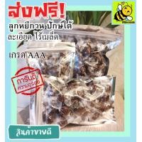 ราคา ส่งฟรี ลูกหยีไร้เมล็ด พร้อมทาน ลูกหยีกวน รสชาติอร่อย 200 กรัม หอม เปรี้ยว หวาน ลงตัว โดยธรรมชาติ ลูกหยีกวนไรเมล็ด ลูกหยีกวนละเอียดไรเมล็ด ลูกหยีไม่มีเม็ด ลูกหยีสด (24850692829)