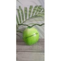 ราคา โมเดลผลไม้ปลอม มะพร้าวปลอม ขนาดเท่าของจริง ราคา ลูก (14178383970)