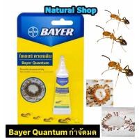 ราคา ไบเออร์ ควอนตั้ม Bayer Quantum เหยื่อกำจัดมด 12 กรัม (7981313414)