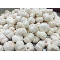 ราคา Dragon mom ขายดี มังคุดอบกรอบ ซื้อ1เเถม1 มังคุดอบกรอบ มังคุดฟรีซดราย Freeze Dried Mangosteen แบบเต็มลูก มังคุด 100 ผลไม้อบแห้ง ผักอบกรอบ ผักผลไม้อบ (21894357347)