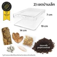 ราคา เซตเลี้ยงไอโซพอด isopod food ใบไม้ moss มอส ไอโซพอด ไอโซพอต กระดองหมึก กล่องเลี้ยงไอโซพอด being isopod (18076436155)