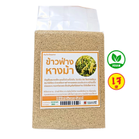 ราคา ข้าวฟ่างหางม้า ข้าวฟ่างทำขนม ขนาด1กิโลกรัม (24139304477)