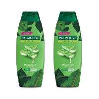 ราคา คูปองส่งฟรี 350 มล ปาล์มโอลีฟ เนเชอรัล อัลตร้า สมูท 350 มล ให้ผมนุ่มลื่น แชมพูผสมครีมนวดผม (18241217908)