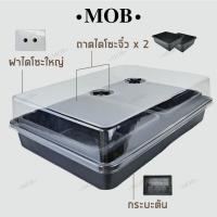 ราคา กล่องเพาะเมล็ด ถาดเพาะ ถาดไดโซะ ชุดถาดไดโซะพร้อมฝาอบ ฝาครอบ สำหรับ เพาะเมล็ดแคคตัส กระบองเพ็ชร ปลูกผักได้ ป้องกันนก (20579685443)