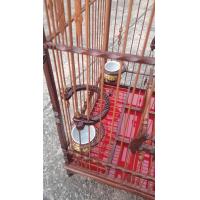 ราคา ห่วงหน้าปรับระดับ หนีบซี่ 2 เส้น ไม้สัก ไม้แดง ไม้ขาวดำ ใส่กับกรงทุกขนาด (23882486361)