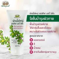 ราคา อภัยภูเบศร ผักเบี้ยใหญ่ เซนซิทีฟ บอดี้โลชั่น 150 g (24612739465)