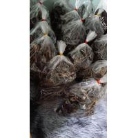 ราคา เขียดนาตากแห้ง 2แพ็ค น้ำหนัก200กรัม (23743031510)