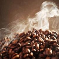 ราคา กาแฟคั่วสด โรบัสต้า ชุมพร ขนาด 500g (24228746298)