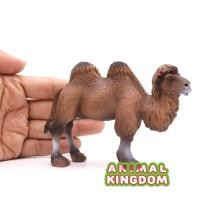ราคา Animal Kingdom โมเดล Camel อูฐ สองหนอก ยืน ขาลาย ขนาด 12 00 CM จากสงขลา (16820727557)