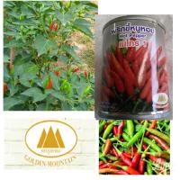 ราคา เมล็ดพันธุ์พริกขี้หนูหอม เมโทร1 ตราภูเขาทองขนาด20กรัม (21825774532)