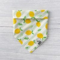 ราคา Lemon Stripe ผ้าพันคอหมาแมว ผ้าพันคอสัตว์เลี้ยง ผ้าคอตตอน (21507497281)