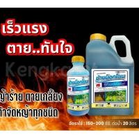 ราคา ช้างม็อคโซน ไดควอตไดโบรไมด์ เผาไหม้ เร็วทันใจ ช้างไทยออน กรัมม็อกโซน (24770536709)
