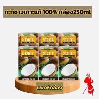 ราคา กะทิชาวเกาะแท้100 แพค6กล่อง ขนาด250ml (21837570466)