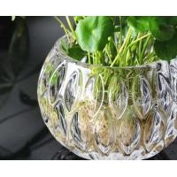 ราคา ขวดดอกไม้แก้วคริสตัลหนาแบบเรียบง่าย ขวดปลูกพืชในน้ำแบบกลมโปร่งใส จัดวางดอกไม้สด จัดสวน พืชประดับตกแต่งบ้าน (18131187713)