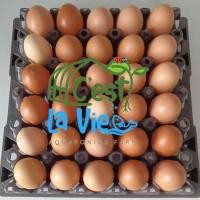 ราคา ไข่ไก่ปล่อยอิสระ Free Range Eggs ปลอดสาร สดใหม่จากฟาร์ม อร่อยไข่แดงมันนัว 30 ฟอง 30 eggs ไซส์ M 59 to 64 grams i (24984170817)