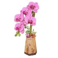 ราคา Rolife Rowood DIY Wooden Flower ดอกไม้ DIY ประกอบง่าย ของแต่งบ้าน ชุดโมเดลตัวต่อไม้ ของเล่นศิลปะ DIY (24663259826)