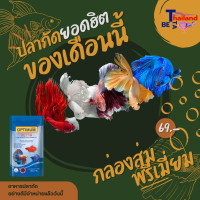 ราคา ปลากัดสวยงาม สุ่มพรี่เมี่ยม สำหรับสายจัดหนัก สวยงาม คัดเกรดพิเศษ (24789413959)