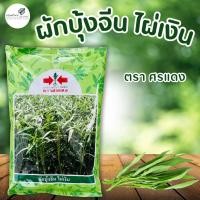 ราคา เมล็ดผักบุ้ง ผักบุ้งจีน ไผ่เงิน ตราศรแดง ขนาด 1 กิโลกรัม (23270324336)