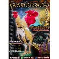 ราคา ไข่เขื้อไก่ชนพม่า ไอคิวเยี่ยม หวงเนื้อหวงตัว แข้งหน้าจัดจ้าน เหลี่ยมดีวิ่งชิ่งเตะ รับประกันการจัดส่ง (24000733566)