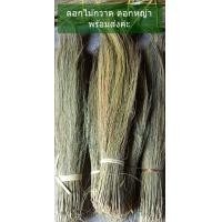 ราคา ดอกไม้กวาด ดอกหญ้า ดอกแขม ดอกกง เกรดเอ A คุณภาพดี สีสวย ก้านยาว สำหรับทำไม้กวาด สินค้าพร้อมส่งทุกวันค่ะ (19306378783)