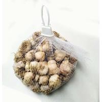 ราคา กระเทียม หอมขาว กระเทียมตัดจุก 500 1000 กรัม จากเชียงใหม่ (9929635677)