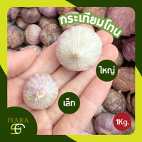 ราคา กระเทียมโทน กระเทียมโทนสด 1กิโลกรัม (24468804341)