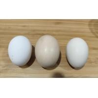 ราคา ไข่เชื้อไก่เบตง สำหรับฟักในตู้ฟัก ราคาต่อ 3ใบ (23638067569)