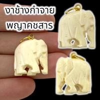 ราคา ANU9 CTพญาช้างกำจาย แกะสลักจากงาคชสาร แกะสลักได้สวยงามมากขนาดประมาณ 2 5 ซม เป็นเครื่องรางอนุภาพมีในตัวอยู่แล้ว (19159822272)