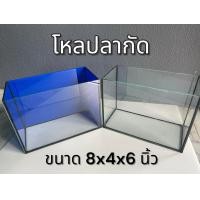 ราคา โหลปลากัด ขนาด 8x4x6นิ้ว กระจกหนา 3 มิลลิเมตร โหลปลากัด ตู้ปลาขนาดเล็ก 1ใบ (24613050198)