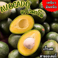 ราคา BB จัดส่งฟรี ยกล่อง1 3KG Avacado อโวคาโด อโวคาโด้ อะโวคาโด อะโวคาโด้ อาโวคาโด อาโวคาโด้ อโวคาโดสดจากสวนบนดอย เก็บจากสวนทุกวันเน่าเสียรับเคลม อโวคาโด้ อโวคาโด้ อโวคาโด อะโวคาโดสด (22601500953)