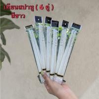 ราคา เทียนสปาหู ช่วยการบำบัดหู เทียนนวดหู (19083623741)