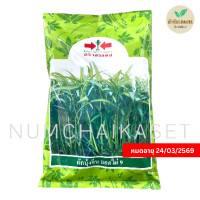 ราคา ผักบุ้ง ยอดไผ่9 1 กิโลกรัม เมล็ดพันธุ์ ตราศรแดง ผักบุ้งจีน (17089223909)