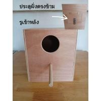 ราคา กล่องเพาะซันคอนัวร์และกรีนชีค (24609430816)