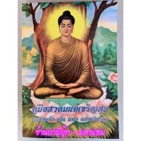 ราคา สวดมนต์เเจริญสุข ขนาด A4 ล ซ คู่มือสวดมนต์เจริญสุข ทำวัตรเช้า เย็น แปล ฉบับพ้นทุกข์ และมีบทสวดอื่นๆ พร้อมสวดมนต์ 7 ตำนานและ 12 ตำนานด้วย เล่มใหญ่ A4 21 x 29 5 cm ตัวหนังสือใหญ่ ชัดเจน อ่านสบายตา จำหน่