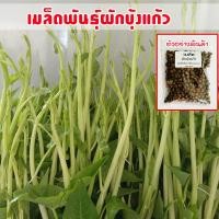 ราคา เมล็ดพันธุ์ ผักบุ้งแก้ว ผักบุ้งเย็นตาโฟ ผักบุ้งไทย 100 1000 เมล็ด 10 เเถม 1 คละได้ (8238552338)
