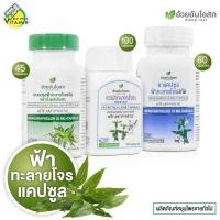 ราคา Ouay Un Ya Fah Talai Jone อ้วยอันโอสถ ฟ้าทะลายโจร สกัด สินค้ามีให้เลือก 3 แบบ ผลิตภัณฑ์สมุนไพรขายทั่วไป (24512106164)