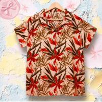 ราคา เสื้อสาวอวบ เสื้อผู้หญิงอก40 42 นิ้ว เสื้อผ้าผู้หญิง เสื้อผ้าสาวอวบ เสื้อผู้ใหญ่ผญ เสื้อผู้หญิงวัยกลางคน (23333515751)