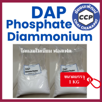 ราคา DAP Diammonium Phosphate ไดแอมโมเนียมฟอสเฟต ขนาดบรรจุ 1 KG 21 53 0 ยกกระสอบ (23809413796)